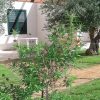 camping stagnone 011