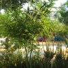 camping stagnone 013
