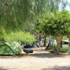 camping stagnone 015